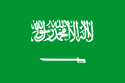 Saudi Arabia International Domain Name Registration